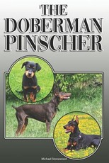 The Doberman Pinscher