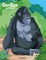 Gorillas Coloring Book 1