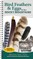 Bird Feathers & Eggs of the Rocky Mountains
