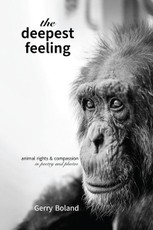 The Deepest Feeling