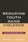 Reducing Youth Gang Violence
