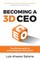 Becoming a 3D CEO
