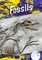 Fossils