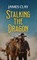 Stalking the Dragon