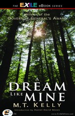 Dream Like Mine