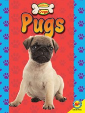 Pugs