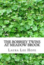 The Bobbsey Twins at Meadow Brook