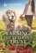Earning the Veteran's Trust
