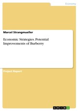 Economic Strategies. Potential Improvements of Burberry