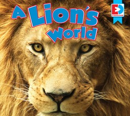 A Lion's World