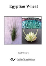 Egyptian Wheat