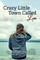 Crazy Little Town Called Love: The To-Hell-And-Back Club Series