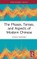 The Phases, Tenses, and Aspects of Modern Chinese