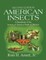 American Insects