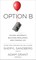 Option B