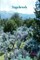 Sagebrush