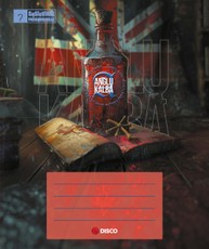 Sąsiuvinis-pagalbininkas anglų kalbai DISCO