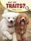 What Are Traits?