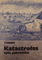 Katastrofos upių pakrantėse