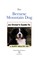Bernese Mountain Dog