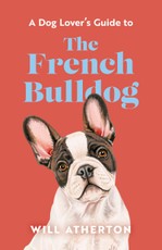 The French Bulldog
