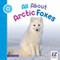 All about Arctic Foxes