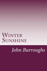 Winter Sunshine