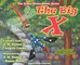 The Big X