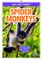 Spider Monkeys