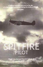 Spitfire Pilot
