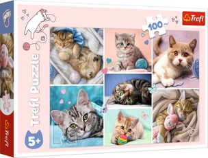 TREFL dėlionė „Kačių pasaulyje“, 100 det.