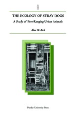 Ecology of Stray Dogs