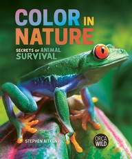 Color in Nature