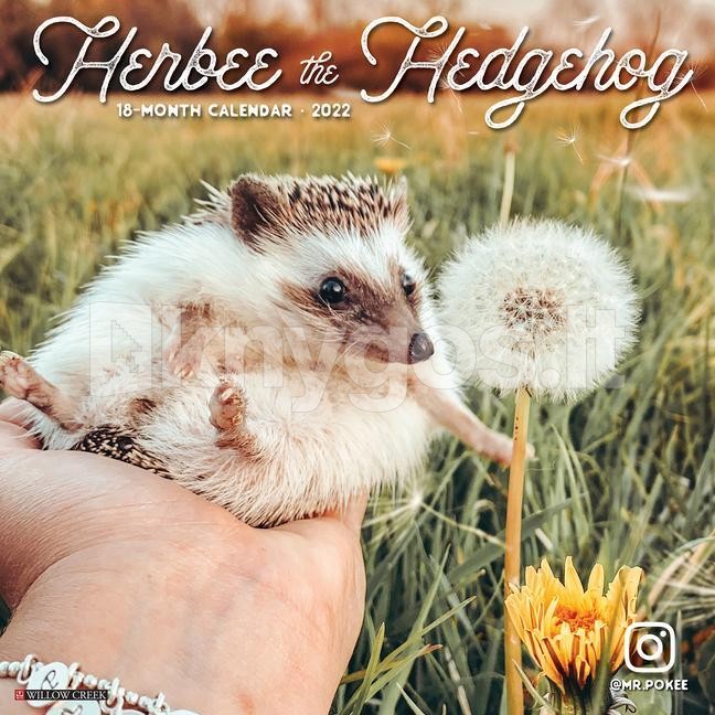 Herbee the Hedgehog 2022 Wall Calendar Knygos.lt