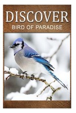 Birds Of Paradise - Discover