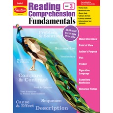 Reading Comprehension Fundamentals, Grade 3 Teacher Resource