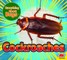 Cockroaches