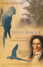 Spix's Macaw