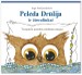 Pelėda Drulija
