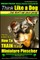 Miniature Pinscher, Miniature Pinscher Training AAA AKC - Think Like a Dog But Don't Eat Your Poop! - Miniature Pinscher Breed Expert Training -