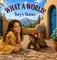 What A World! Tory's Stories