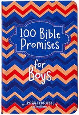 100 Bible Promises for Boys