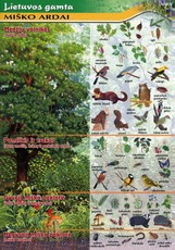 Lietuvos gamta. Miško ardai (A 4)