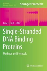 Single-Stranded DNA Binding Proteins