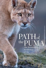Path of the Puma