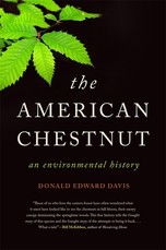 The American Chestnut