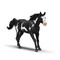 SCHLEICH HORSE CLUB Paintų veislės eržilas