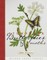 Stumpwork Butterflies & Moths