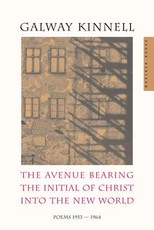 The Avenue Bearing the Initial of Christ Into the New World