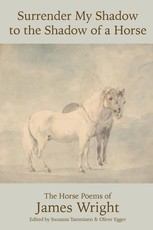 Surrender My Shadow to the Shadow of a Horse